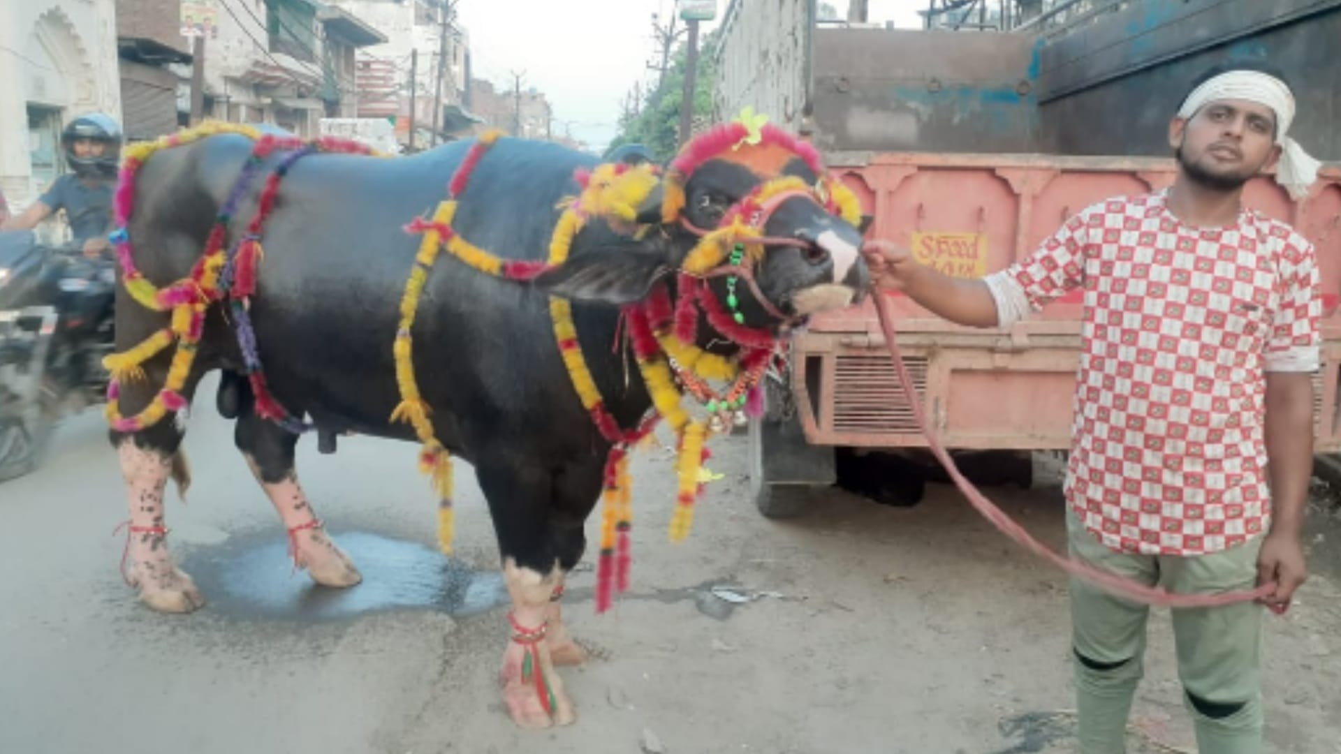 Eid-ul-azha 2022: Eyes and Feet white, Pakistani Sultan cost is for three lakhs, Baba and Nawab not even less