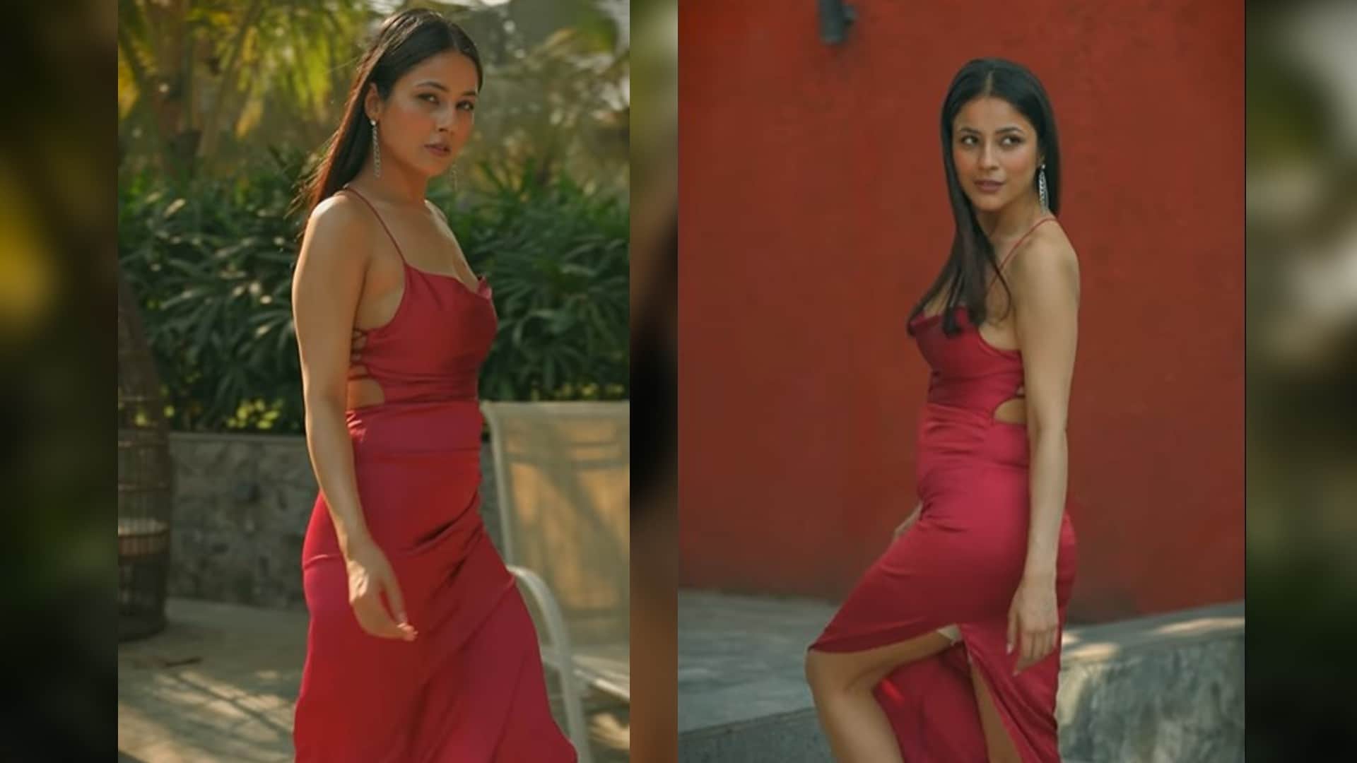 shehnaaz gill shares new Photo shoot video in bold look fans goes crazy