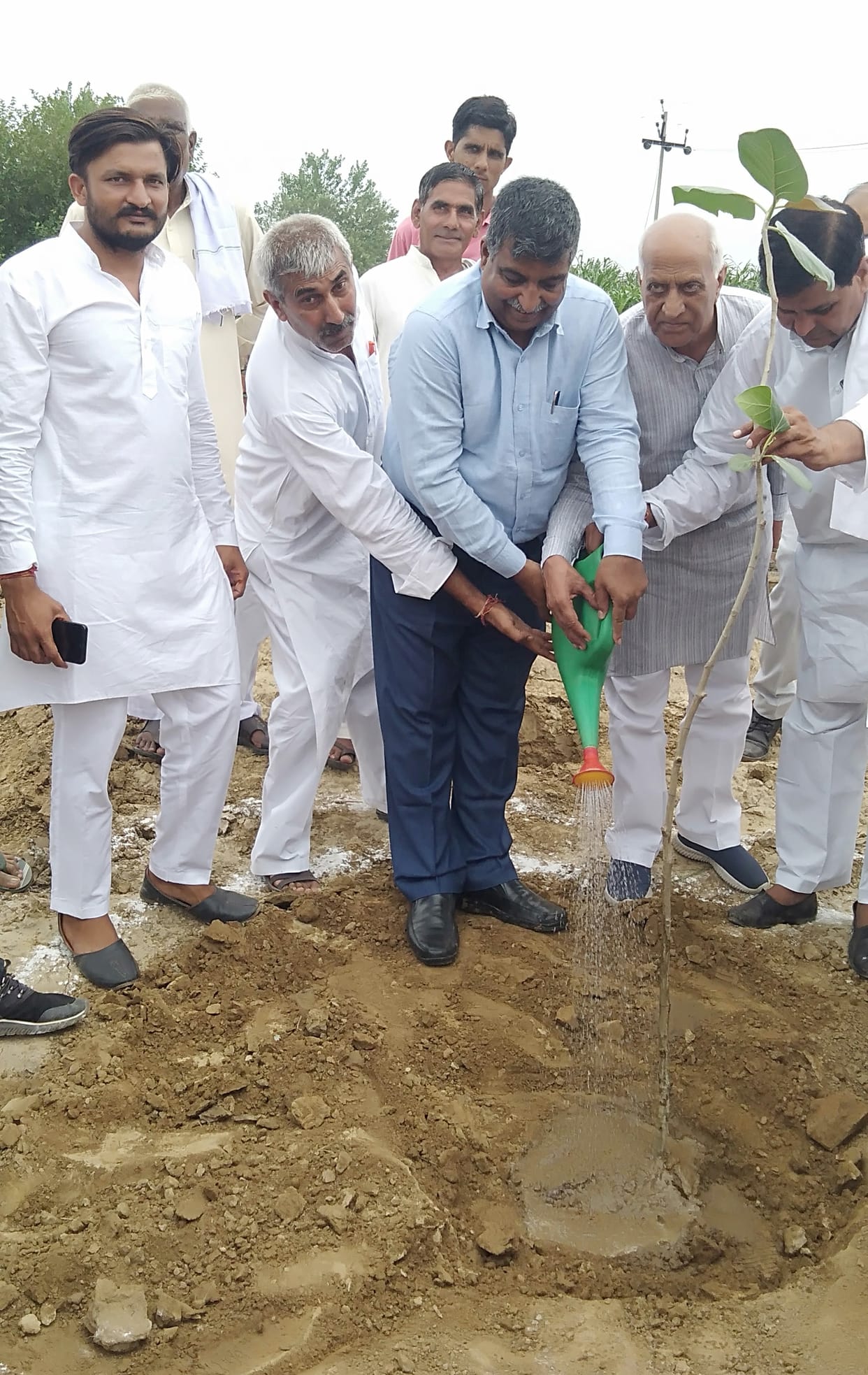 Planted more than one lakh saplings