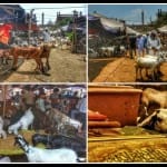 जामा मस्जिद स्थित बकरा मंडी