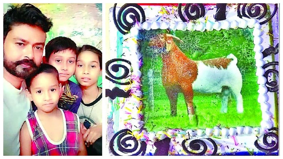 Eid al-Adha 2022 Muslim Family Celebrated Bakrid By Cutting Cake 