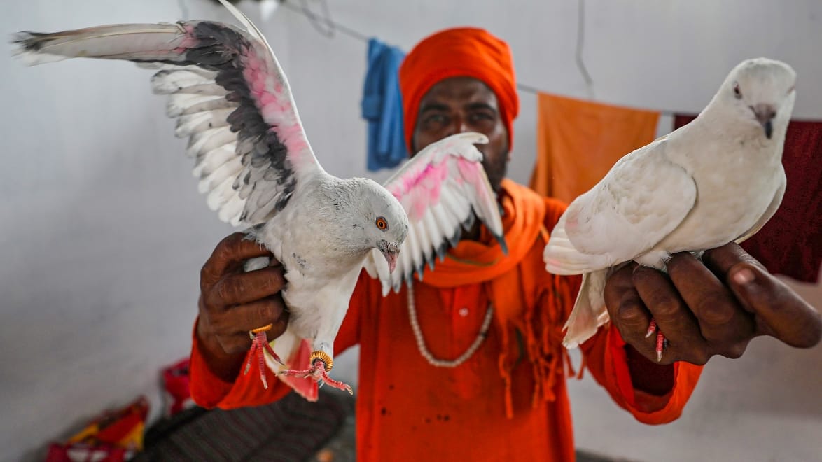 Amarnath Yatra 2022: Shiva devotees left with 21 feet high trishul and pair of pigeons