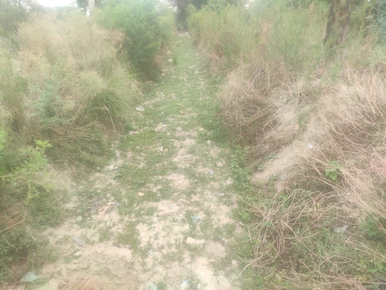 Rajbhe dry, cracks on the fields due to lack of water