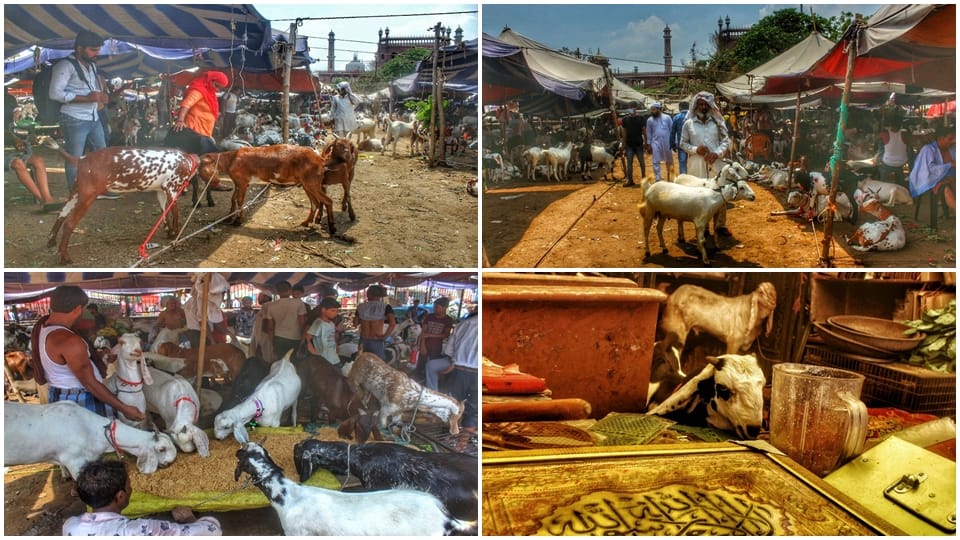 price of sultan is five lakhs in goat market located in jama masjid