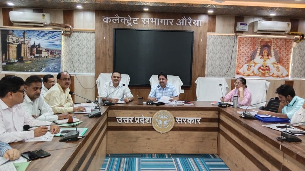 DM said, Anna cattle should not be found roaming, send cow shelter