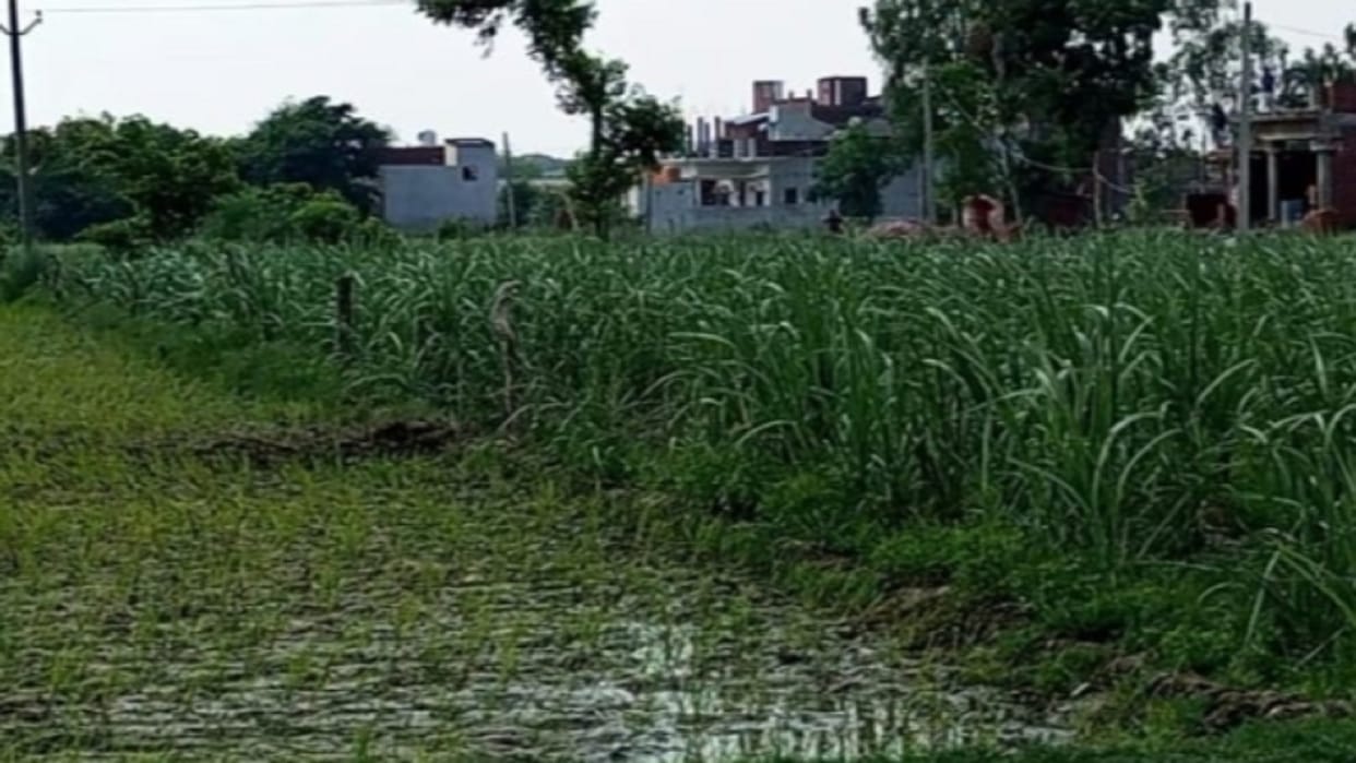 Farmer died during working in the field in Saharanpur