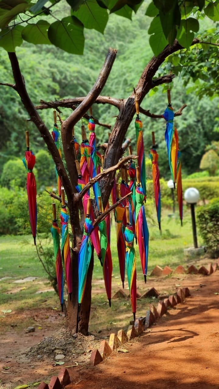 Now roam the bird park even in the rain, you will be able to use umbrella for free