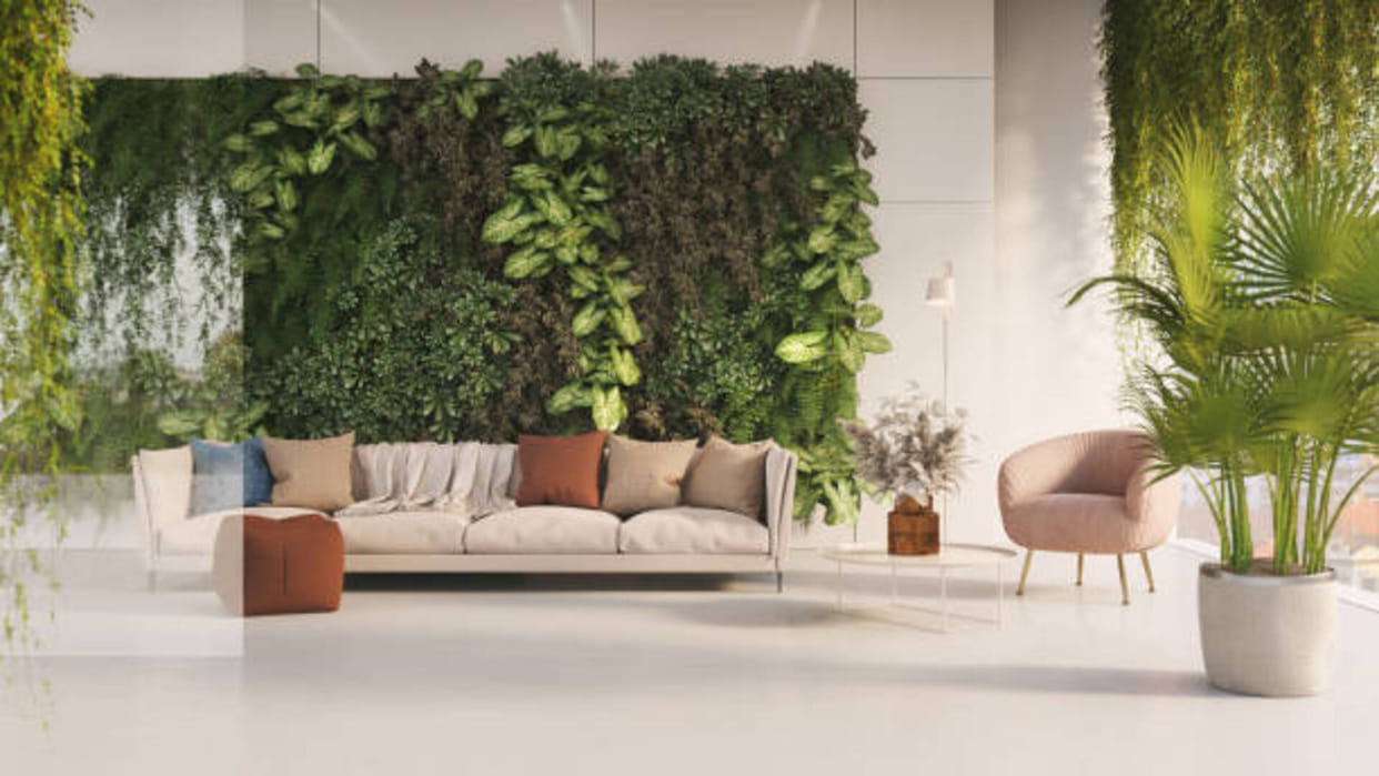 Vastu Tips Plants Should Never Be Planted Inside House To Avoid Money Loss And Family Problems In Hindi
