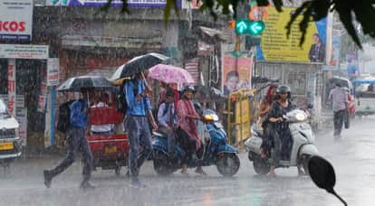 MP Weather Update Today: Monsoon becomes active again, alert issued for heavy rain in Malwa-Nimar
