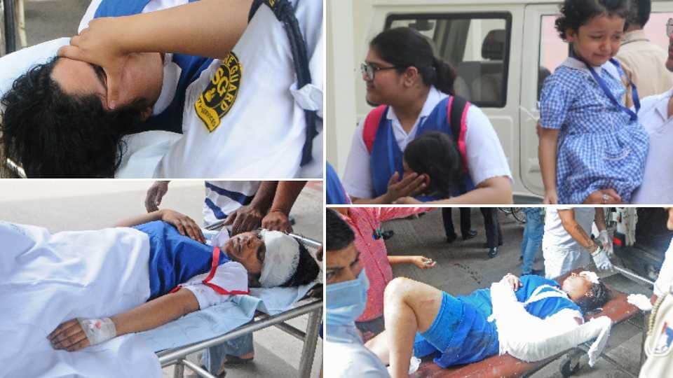 A Student Died After Tree Falls In Chandigarh School
