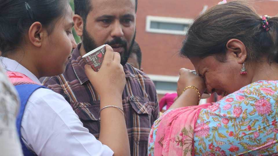 A Student Died After Tree Falls In Chandigarh School