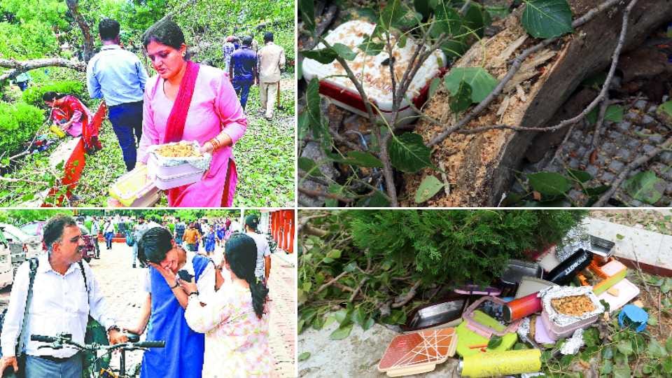 A Student Died After Tree Falls In Chandigarh School