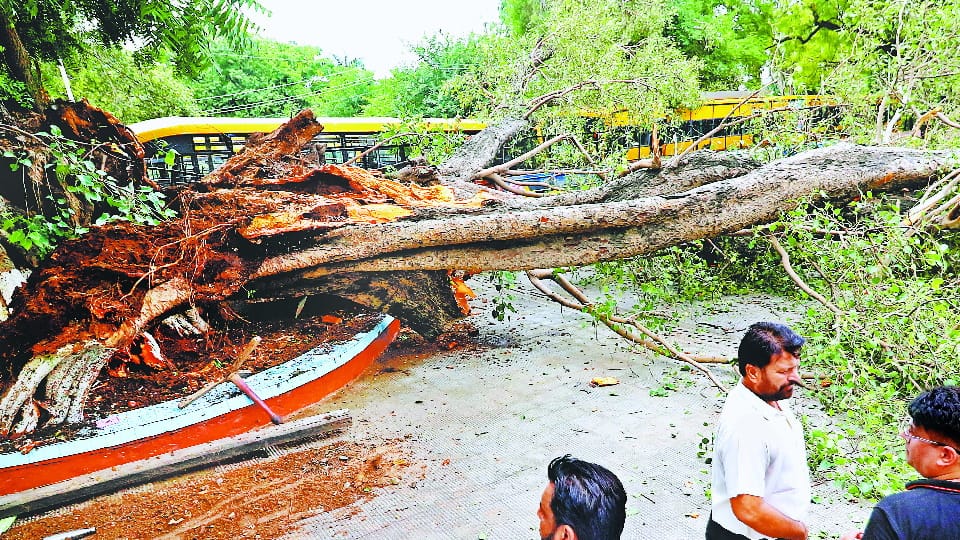 All schools of Chandigarh will have child safety audit after Carmel Convent School Accident