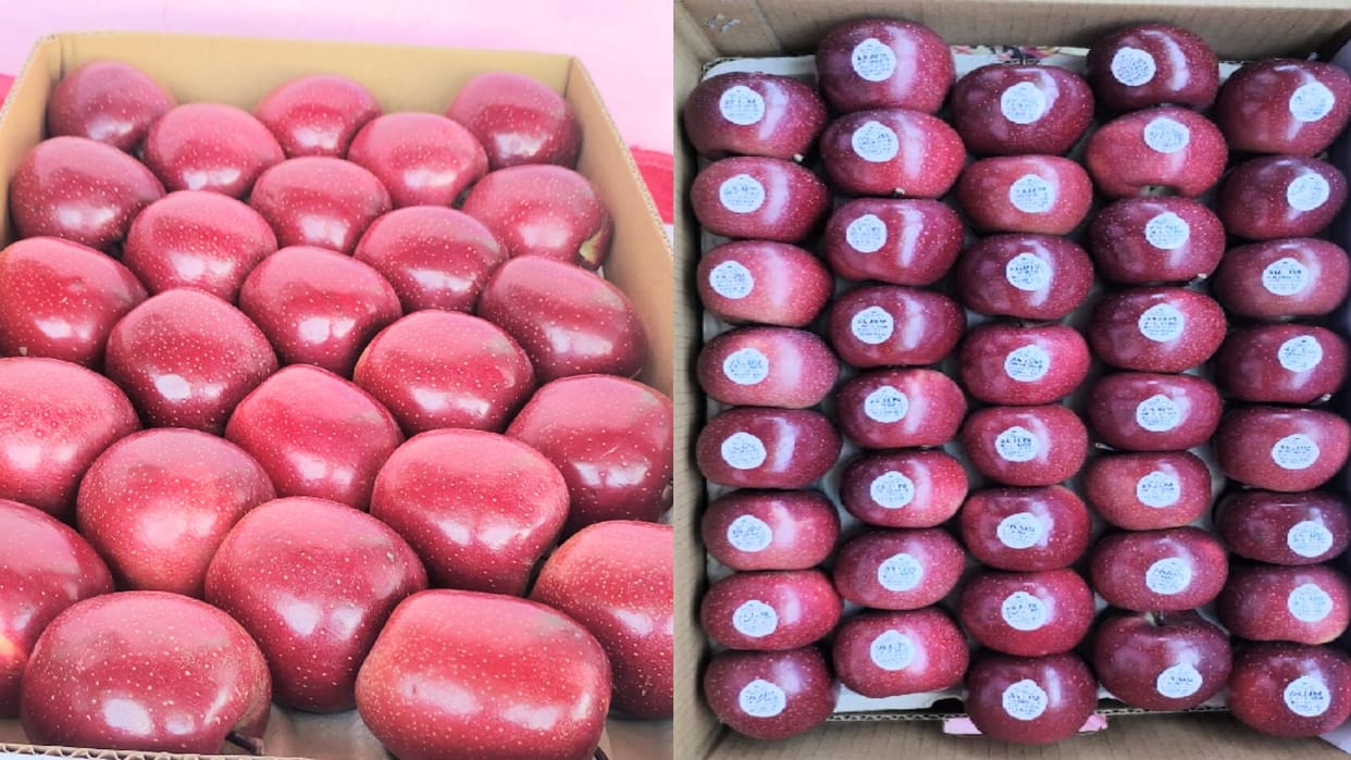 Gala apple in mandis, sold for Rs 200 a kg at shimla