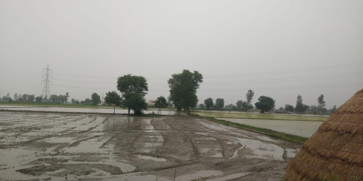 In the first day, the black was reduced, the rain was severely rained.