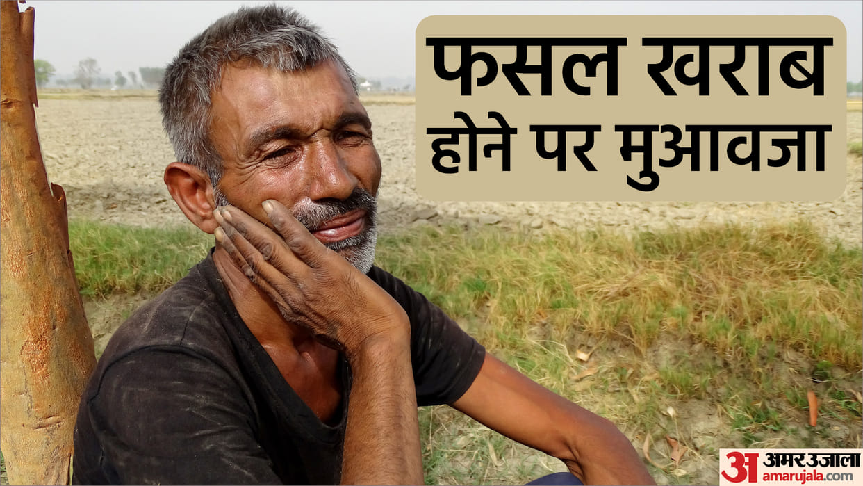 Farmers Get Compensation for Crop Loss Know How to Apply Online for PM Fasal Bima Yojana All Details