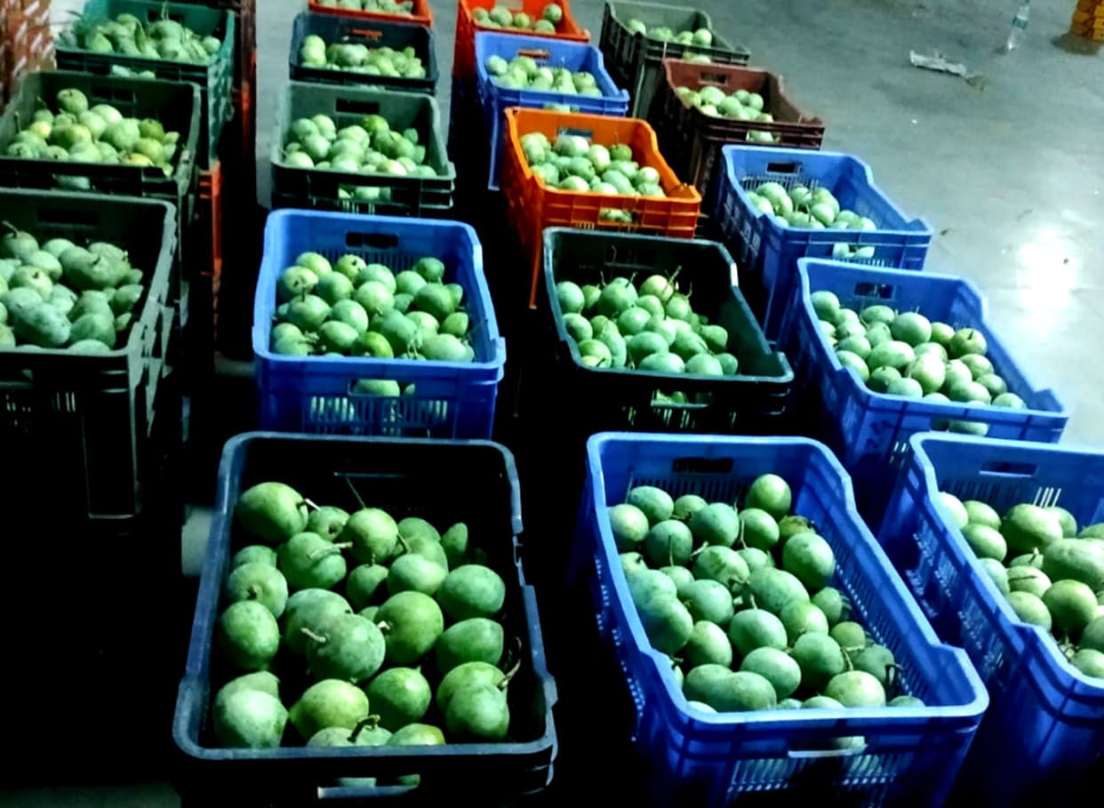 UK people liked Ramkela pickle and chutney, exports increased