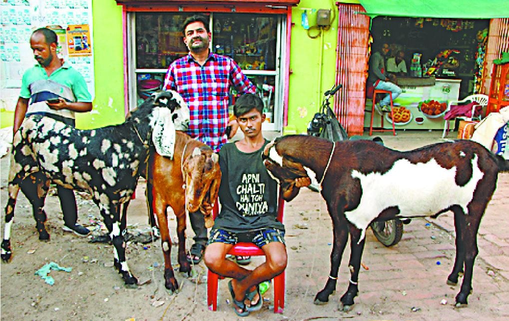 Eid ul Adha 2022 price of goats in varanasi is from 8 thousand to more than RS 1 lakh this is center of attraction
