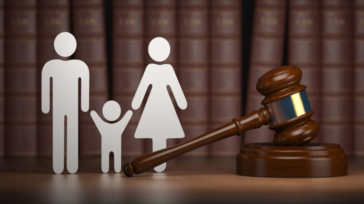 Bill to give validity to family courts in himachal pradesh and nagaland