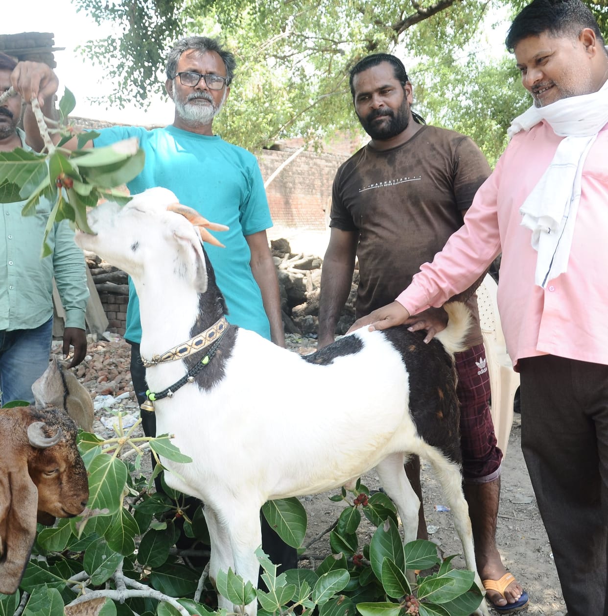 Bakrid today, Idgah ready for Istqbal
