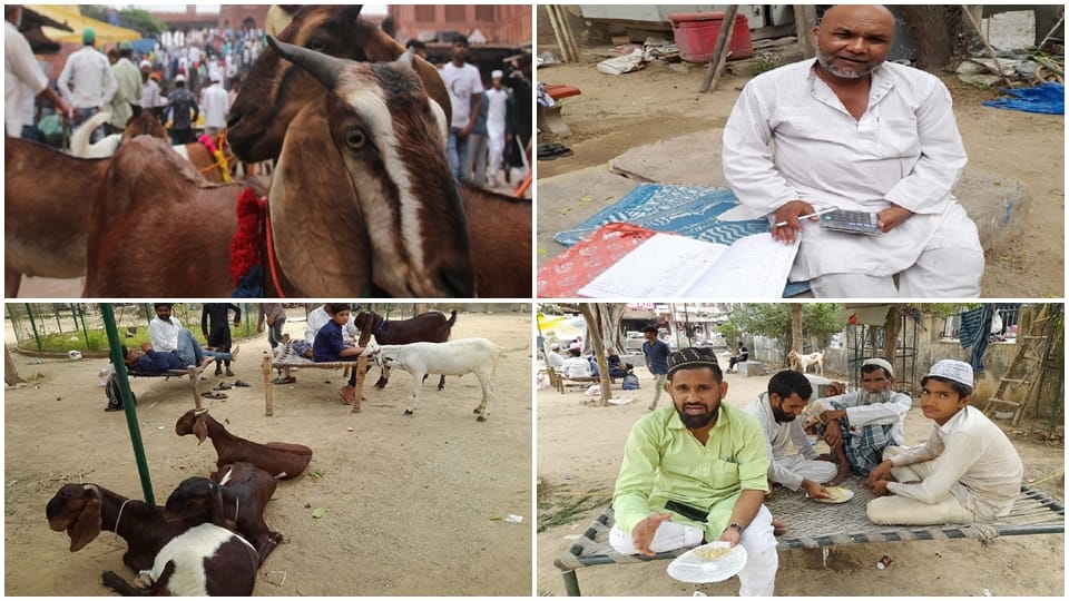 inflation reduced the purchase of goats on bakrid businessman said it never happened in decades which happened this timeakrid: 70 का सोनू 55 हजार में बिका, कारोबारी बोले- दशकों में ऐसा कभी नहीं हुआ; जो इस बार हुआ