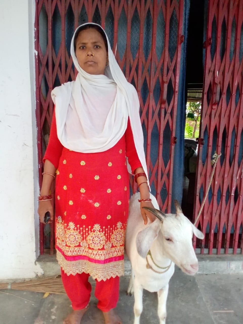 dm given he goat