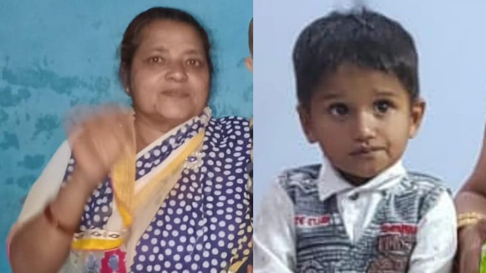 Child and her grandmother died in accident at Tosham 