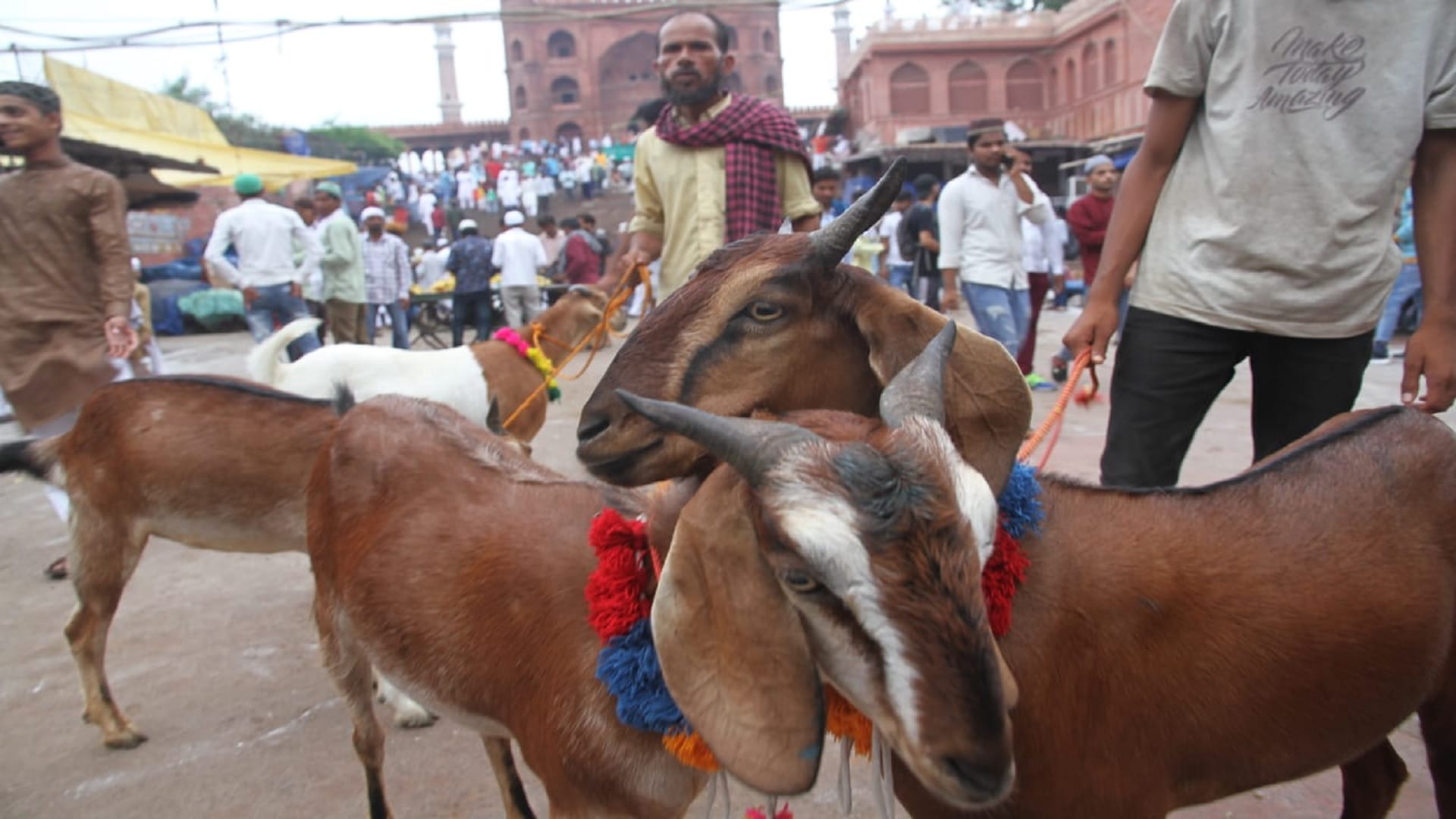 Bakrid celebrated in Jama Masjid with peace after two years see photos