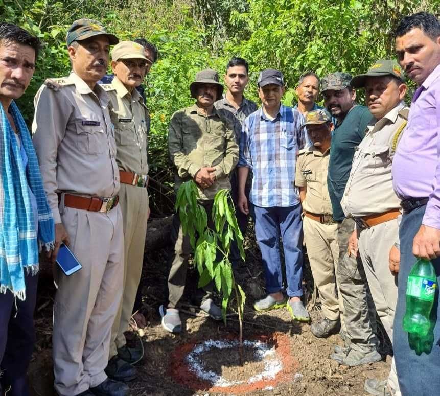 Harela in Corbett Trail Champawat