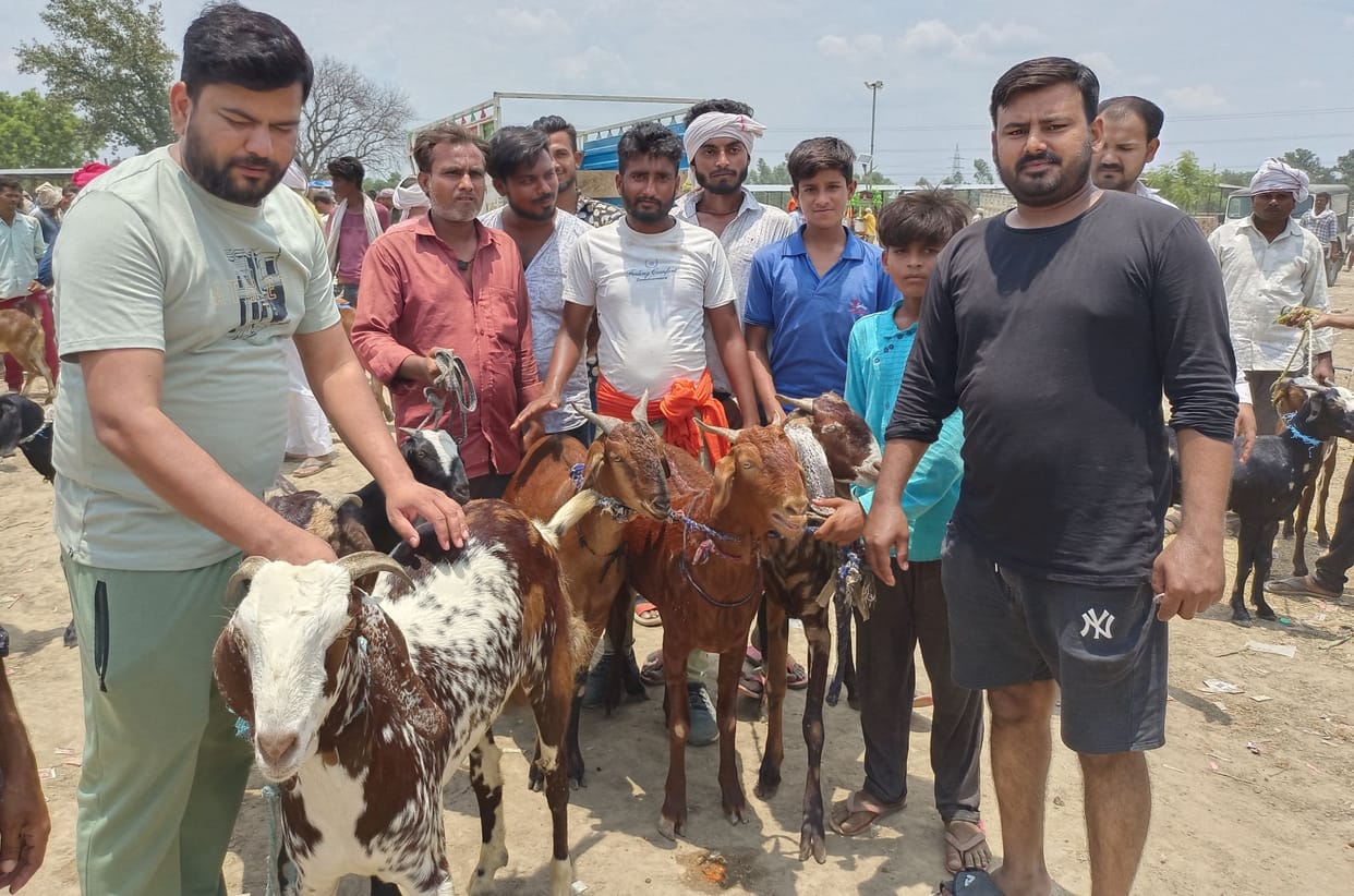market,up news,fatehpur news,bakreed,sell
