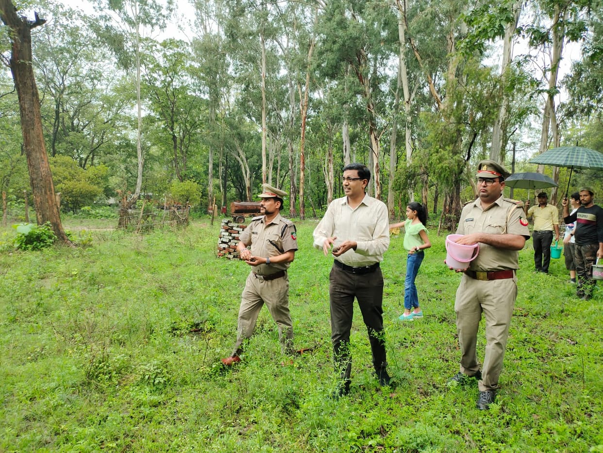 Amidst the rain, the Divisional Commissioner scattered the seed ball in the forest of Mohand