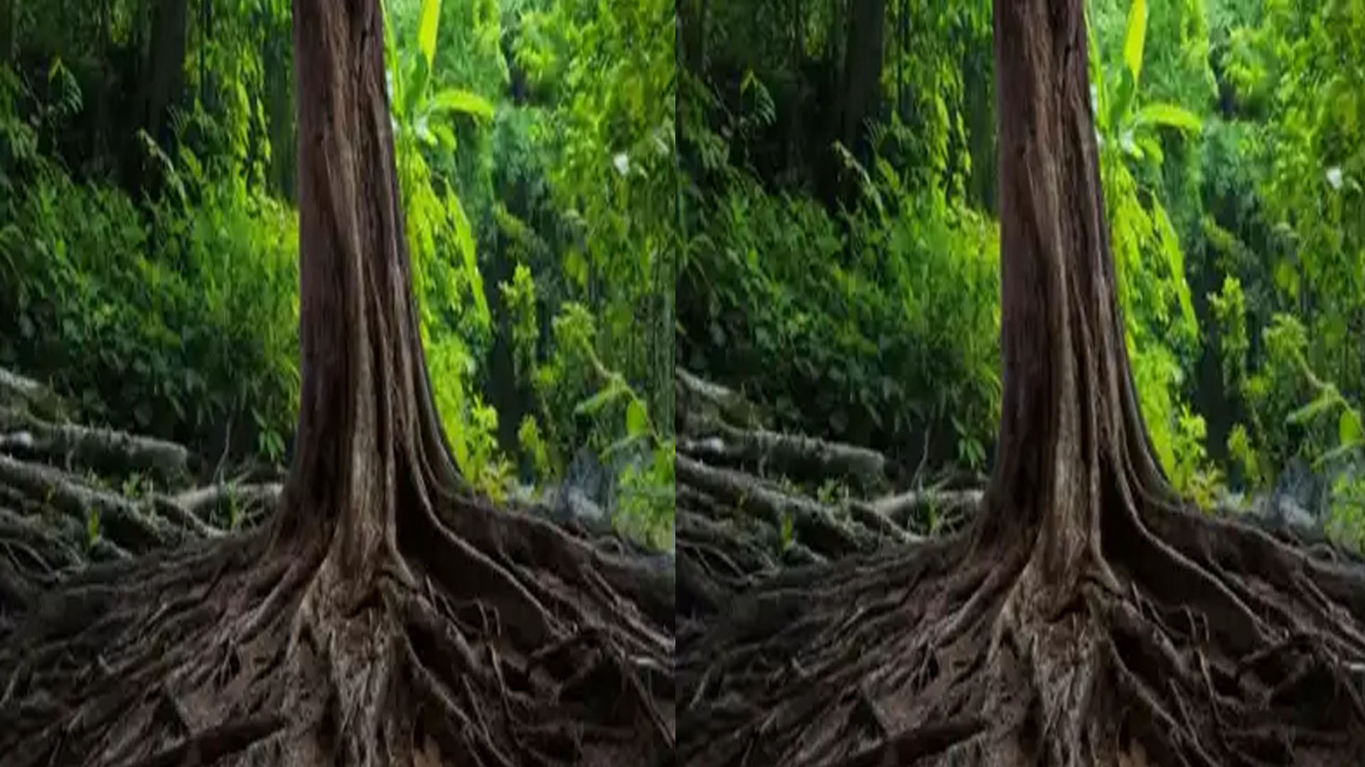 optical illusion snake hidden in tree roots people confused after see this pic news in hindi