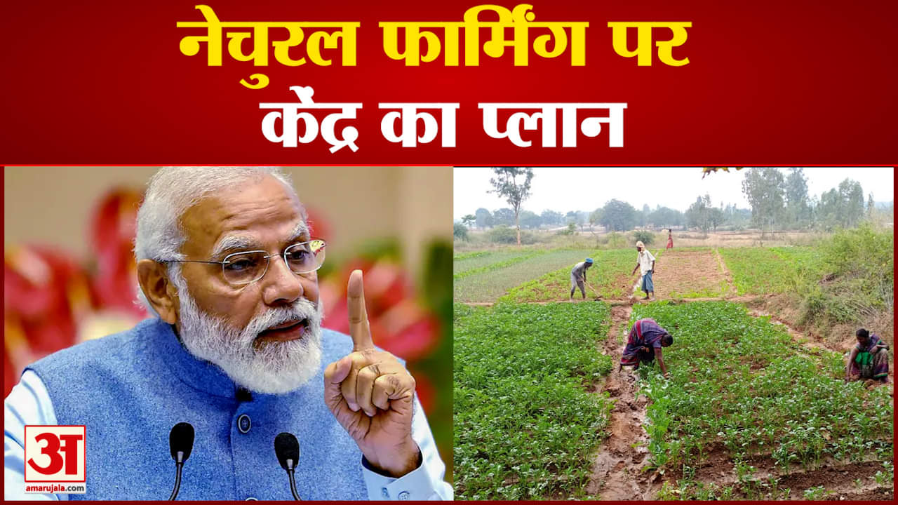 प्रधानमंत्री नरेंद्र मोदी