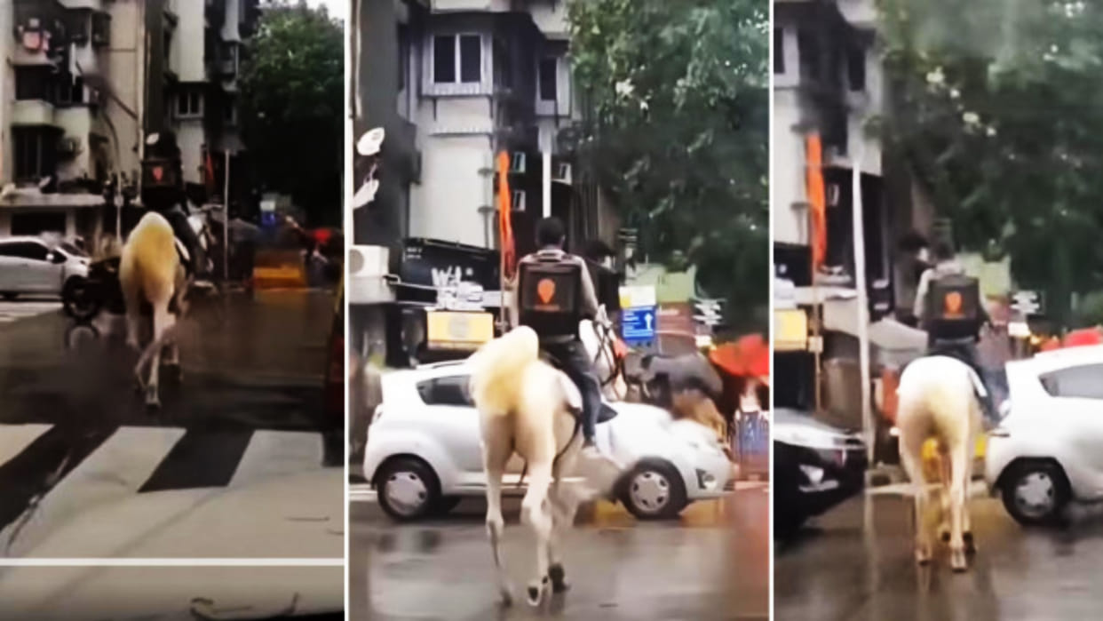Swiggy identifies viral man on horseback reveals horse-hunt has ended