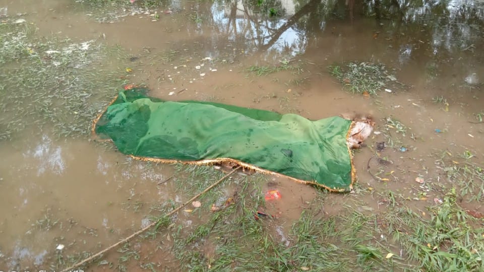 rain water filled in graveyard due to drain wall collapse during rain in Agra