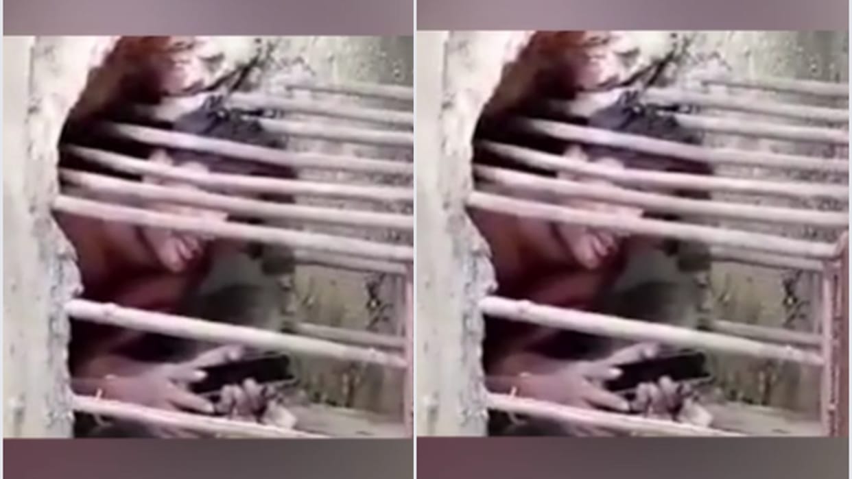 MP News: The youth who was stealing in the railway coal siding was imprisoned in the cage, trying to get out of the AC hole