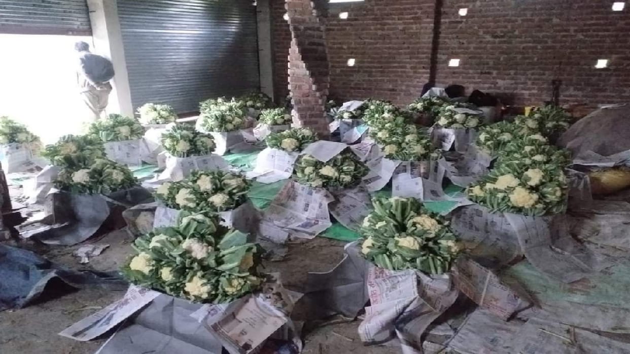 After tomato cauliflower Price fell in the mandis, selling for six rupees a kg