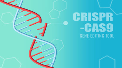 What is Genetic Engineering How will change the Future