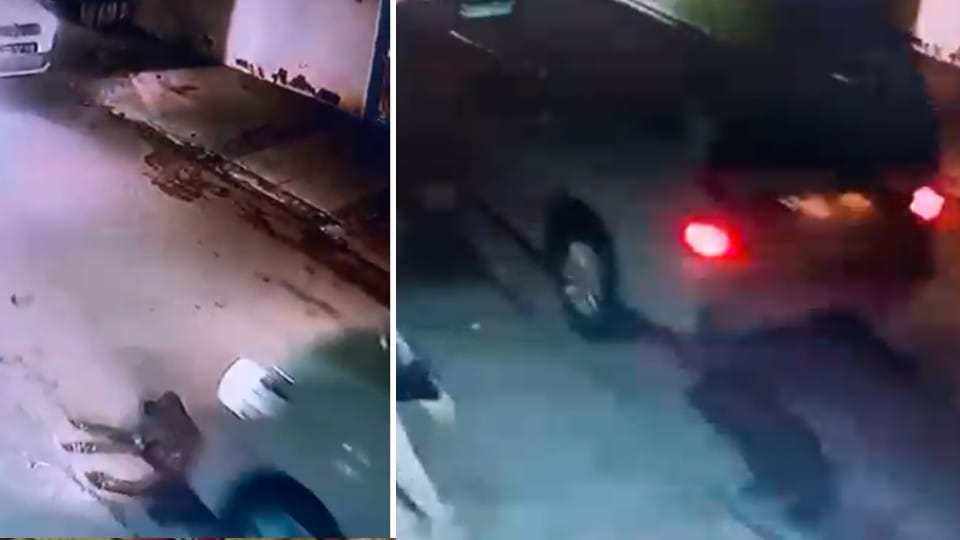 Gwalior: Doctor crushed a dog sleeping on the side of the road with a car, animal lovers reached the police station