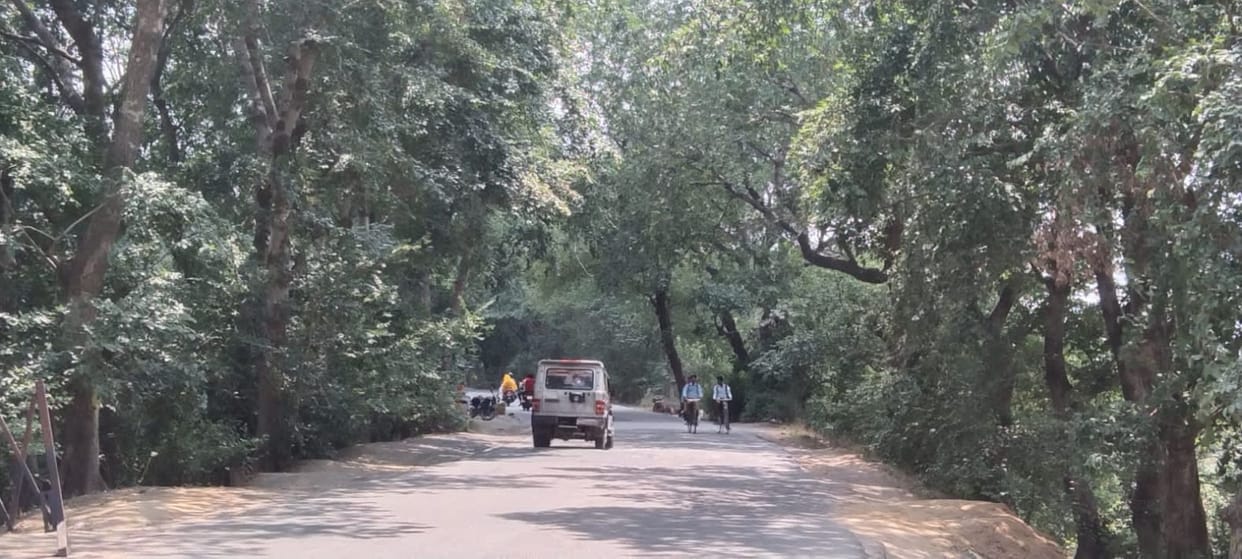 53 thousand trees will be cut to widen the Bareilly-Etawa highway