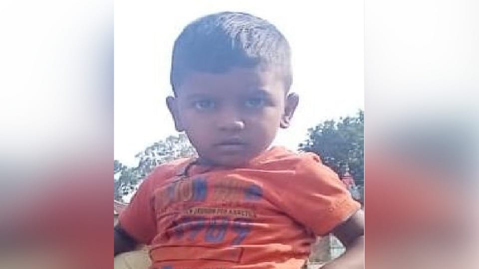 two and a half year old child who was defecating crushed by a tractor in front of his father