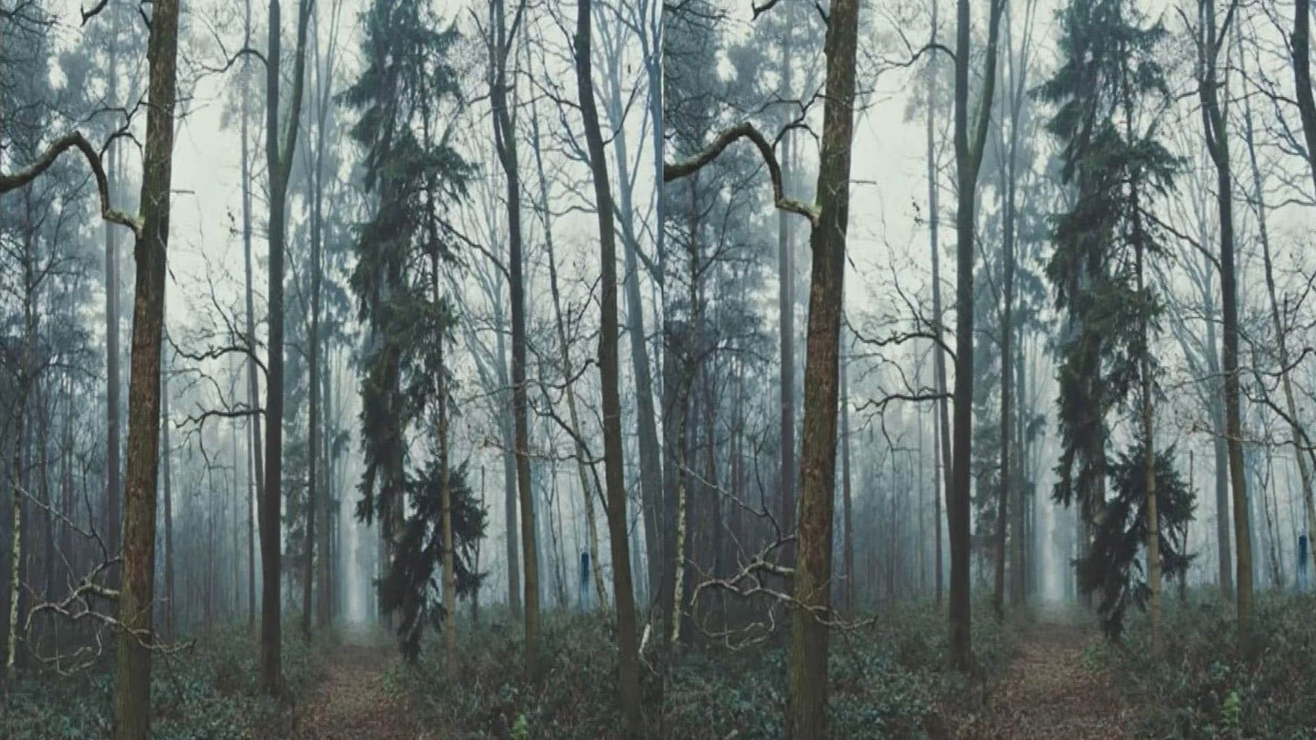 optical illusion brainstroming photo google trends nobody can see hidden fox in this challenging pic quiz in hindi