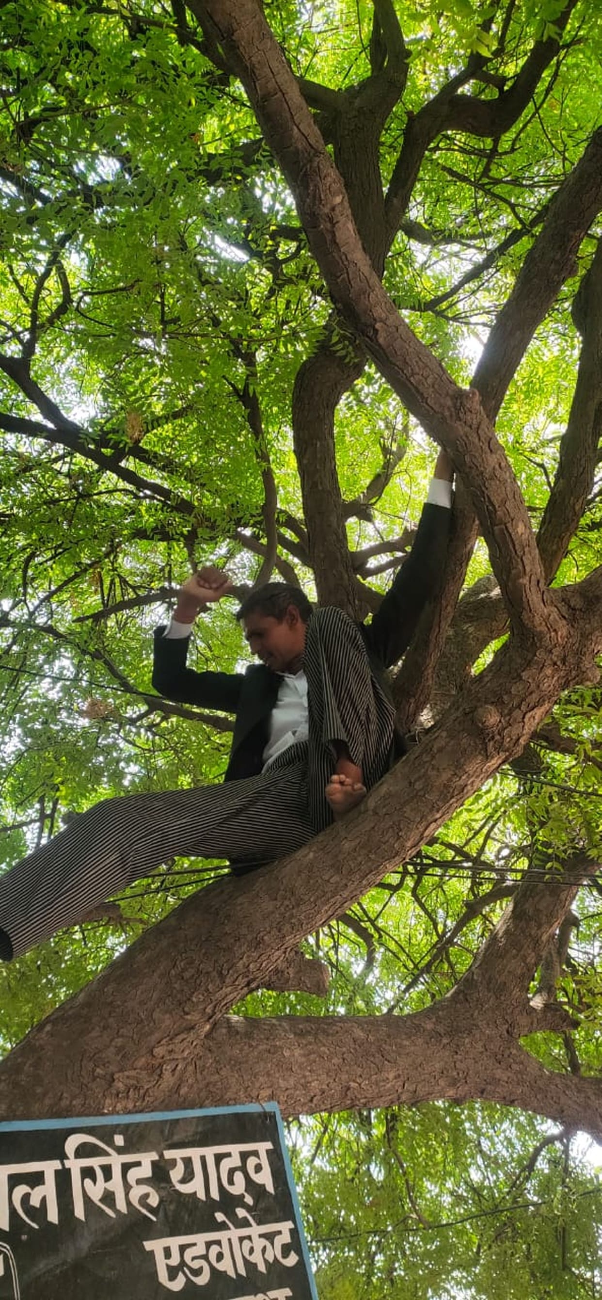 Kalpi's advocate demanded climbing a tree