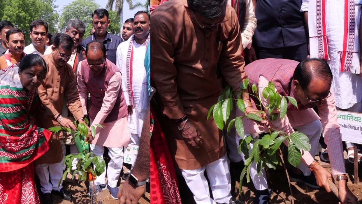 MP News: CM Shivraj planted saplings in Gwalior, said- I am fortunate to be planting saplings with the President