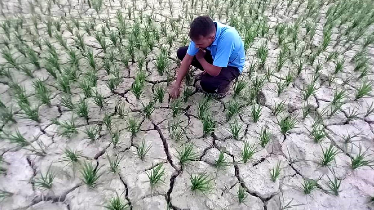 Gorakhpur Rainfall lowest in 11 years