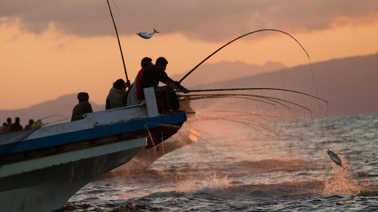 Six Indian fishermen arrested for allegedly fishing in Sri Lankan waters Navy