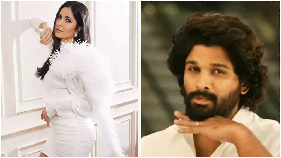 vicky kaushal wife actress katrina kaif pregnant and Allu Arjun hikes fees for Pushpa 2 ananya pandey rocketry amitabh bachchan read 10 news from the entertainment world