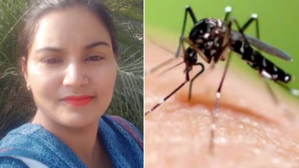 Government teacher died of dengue in Mansa
