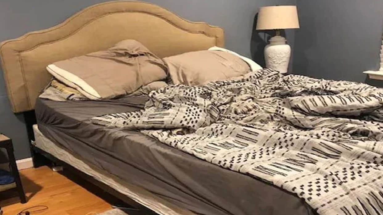 optical illusion doggy hidden in the picture puzzles google trends