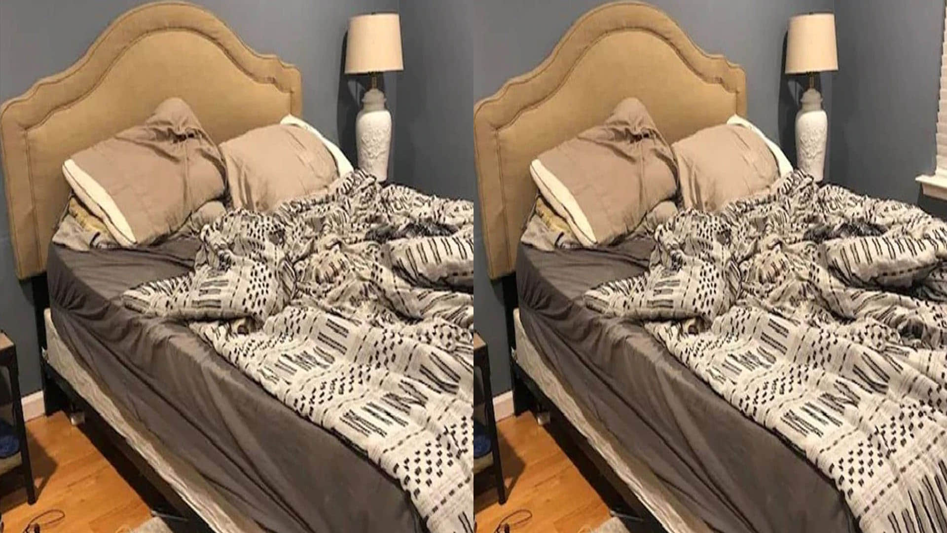 optical illusion doggy hidden in the picture puzzles google trends